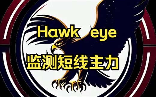 Hawk eye 超强的短线主力监测系统,分分钟监测到短线主力异动的股,就是这么简单这么强大