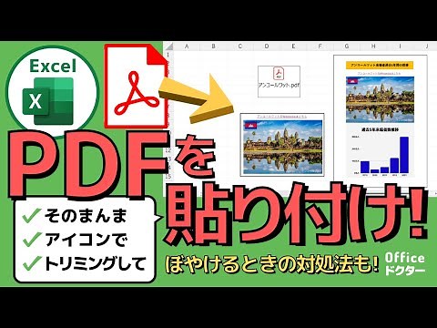 How to paste a PDF into Excel! How to fix blurry images [Excel]