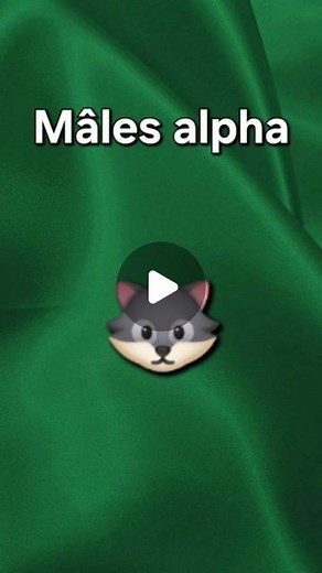 Vincent Barat | C'était rapide ! | Instagram