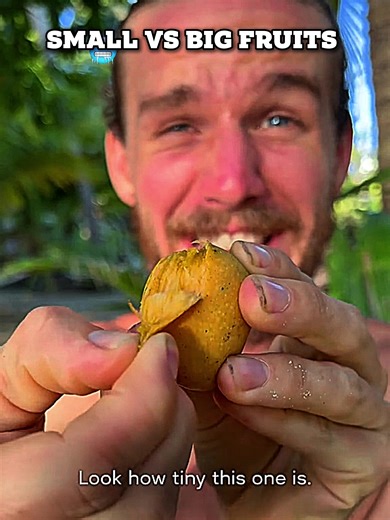 Comparing Small Fruits and Big Fruits