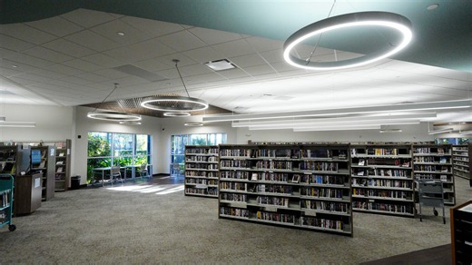 Lee County library's summer reading program offers free books and baseball tickets