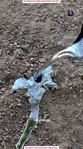 What Happens When Molten Aluminum Fills a Snake Burrow? 😱