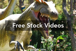 Dinosaur Videos, Download The BEST Free 4k Stock Video Footage & Dinosaur HD Video Clips