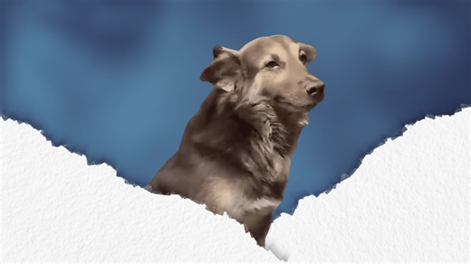 Viral Tiktok dog sheds tears for missing his fur mom