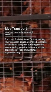 This systemic cruelty must end.