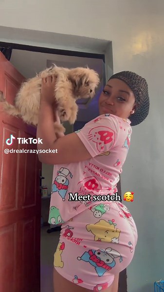 Discover the Unique Crazy Socket Experience