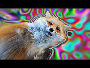 YTP - Foxes say HEHEHE again