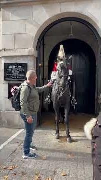 The Most Frustrating Moments That Will Make Your Blood Boil! 😡🐴