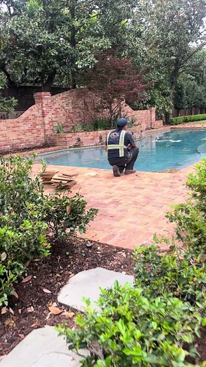 Luxury Spring Wedding Transformation in Houston Backyard