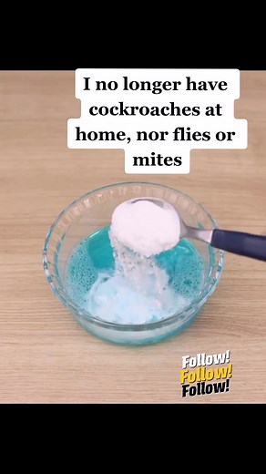 Effective DIY Home Cleaning Mixture for Pest Control and Freshness