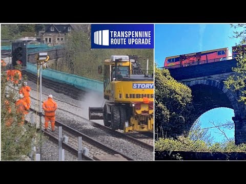 TRU NEWS 👷‍♀️ Trackwork on historic viaduct as line closed for weekend