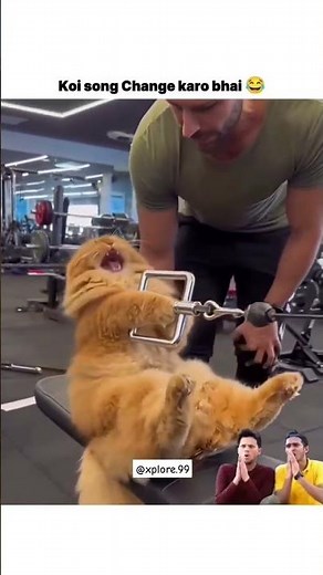 Gym Wala Billa 😼💪 | Cat Bodybuilder #funny #viralvideo #shortvideo #cat