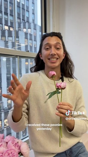 Maximizing the Beauty of Peonies: Care Tips and Tricks