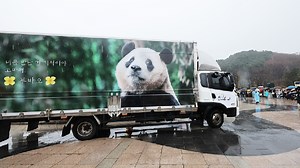 South Korea's first locally born panda Fu Bao heads to China, fans wave farewell