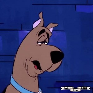 53 reactions | when the body says Friday but the calendar shows Wednesday  | Boomerang TV | Facebook