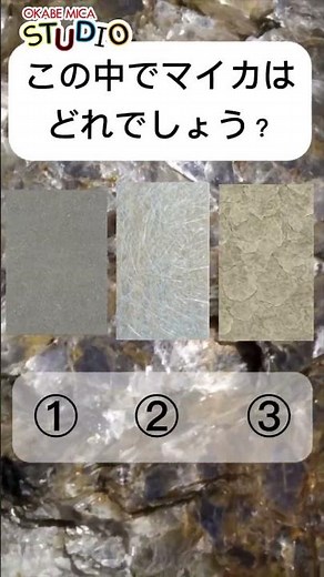 マイカはどれかわかるかな？ #shorts #マイカ