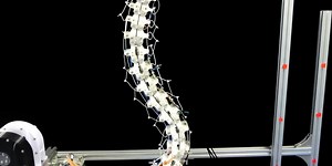 Ostrich-inspired robot gives its neck a stretch