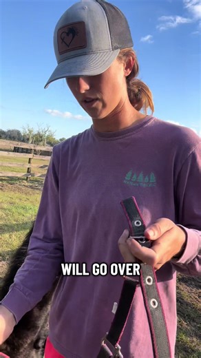 First halter for the new baby! 💕She still has no name. 👀Feel free to drop your name suggestions in the comments. ⬇️Traditionally, all of my mustangs have names with biblical meanings (ex. Reverence, Glory, Mercy, Hosanna). I do love V names for my long term residents (Vera, Val, Vito). This is a bold, tiny, sweet, and very smart mustang. #namesuggestions #BLMmustang #wildtomild #firsthalter #SaveAHorsesRideAMustang