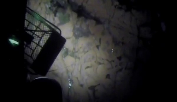 Four young sisters rescued from rock in Lake Superior after getting stranded while paddle-boarding