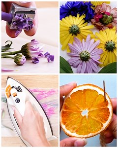 1.2M views · 6.5K reactions | You'll be imPRESSED with these 3 eco-friendly dried crafts! | Blossom | Facebook