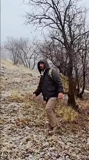 🔥 EXTREME Survival Challenge! #trending #wildlife