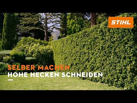 Anleitung: hohe Hecken schneiden