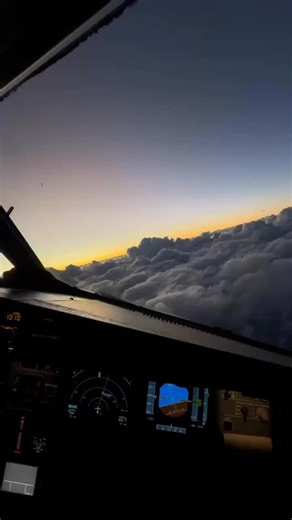 A321neo sundowner 🌅 #airbus #cockpit #flightdeck #sunset #flying #aviation #avgeek #cockpitview | Pilotstories