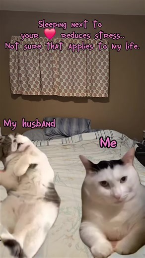 Statistics must have excluded my husband..lol He's lucky I love him ;-) . #husbandwife #humor #husband #teamnosleep #relationshiphumor