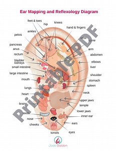 Ear Mapping Chart PDF Printable - Etsy Canada