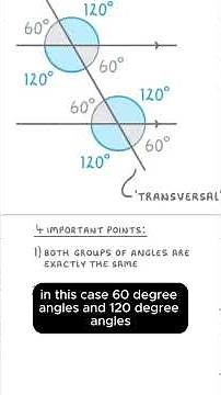 🎯📐 Parallel Lines & a Transversal | Geometry Basics #shorts #math #geometry