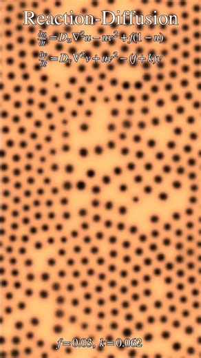 Turing Pattern Emergence 🌀