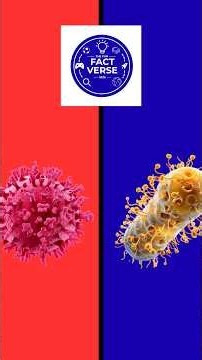 Virus vs Bacteria - 5 Differences & Similarities
