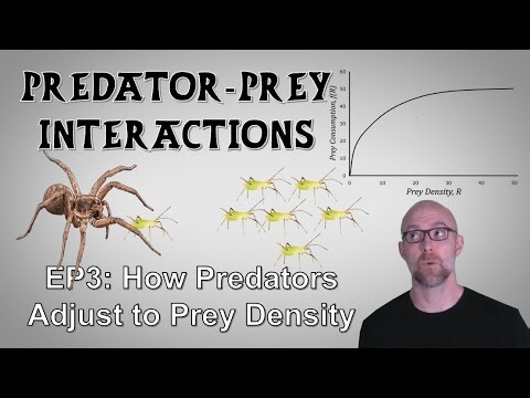 Predators and Prey, Episode 3: How Predators Adjust to Prey Density