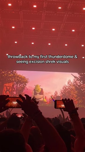 SHREK VISUALS!! #raversoftiktok #excision #excisionheadbangers #thunderdome #tacoma