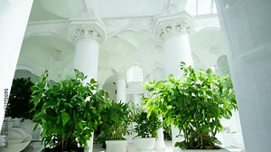Exploring the stunning interior of an expansive white marble building with intricate designs and natural light