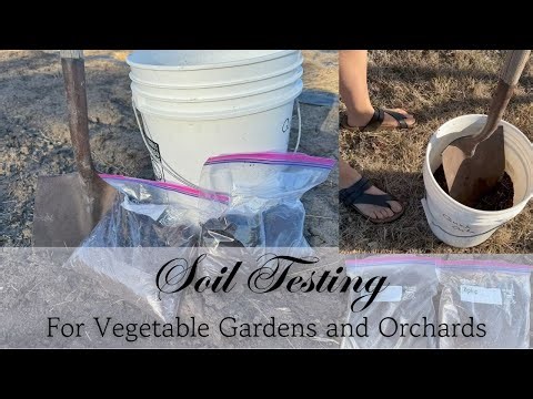 Soil Testing For Vegetable Gardens