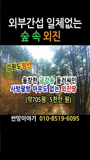shorts 강원도 정선군 화암면 호촌리 산촌오지 주말쉼터 싼땅 농막짓기좋은땅 (정선-2236)