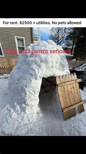 Los cuartos de renta en usa #humor #memes #funny
