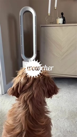 Wowcher on TikTok