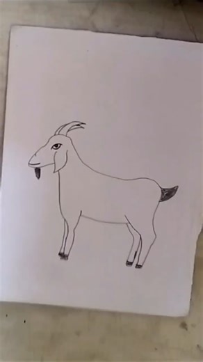 goat🐐 drawing #art #goat #drawingtutorial
