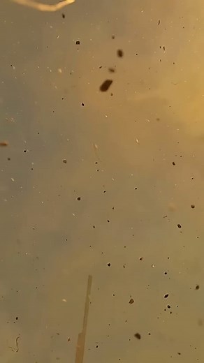 Rocket Vlogs on Instagram: "Military motor vs my fiberglass high-power rocket #rocketry #science #diy #ejectionseat #makers"