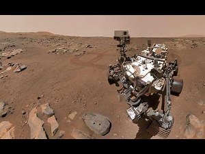 Insects and Reptiles on Mars? NASA Rover Images Spark Debate