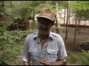 9 Tannehill Historical State Park Discovering Alabama