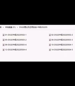 DSGE理论及应用实战-中级 课程完整