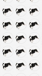 21K views · 42 reactions | Cows produce a ton of methane. Researchers think that tweaking their diet could help. To learn more, watch the full video on our YouTube channel. This video is presented by @Delta. #climatecrisis #methane #seaweed #cows #additives | Vox | Facebook