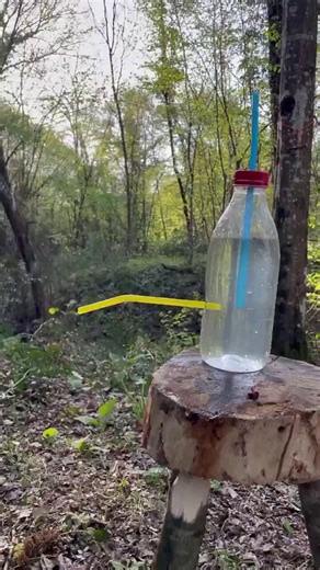 The beauty of physics 🤩