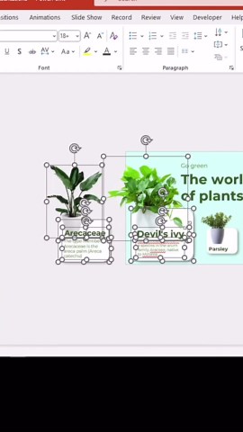 Amson Ppt | This engaging slide idea captures attention and conveys complex ideas with ease, ensuring your message is not just heard, but remembered.... | Instagram