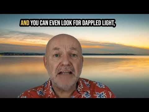 Creative Shadow Photography: How to Use Shadows for Impact