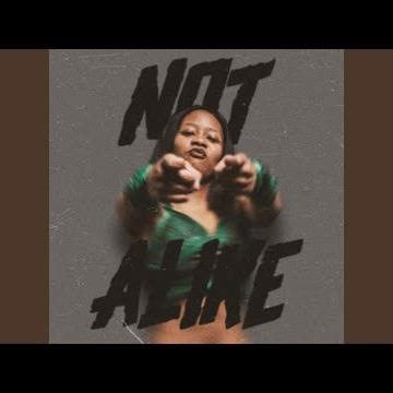 Not Alike (Kim Kirsten)