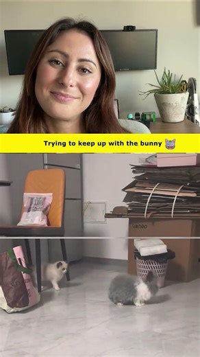 Cat VS Bunny Race! 🤣